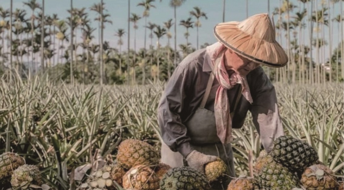 和龜記一起支持台灣在地小農