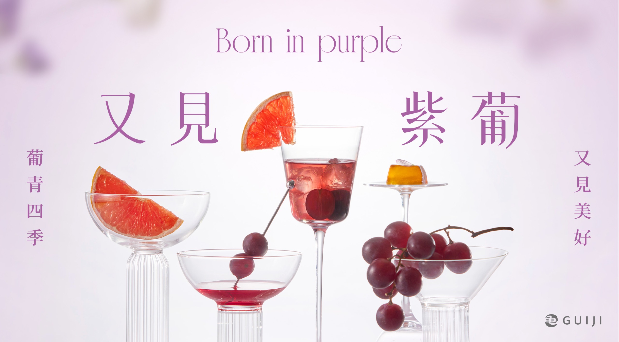 經典「紫葡蘆薈春」回歸！