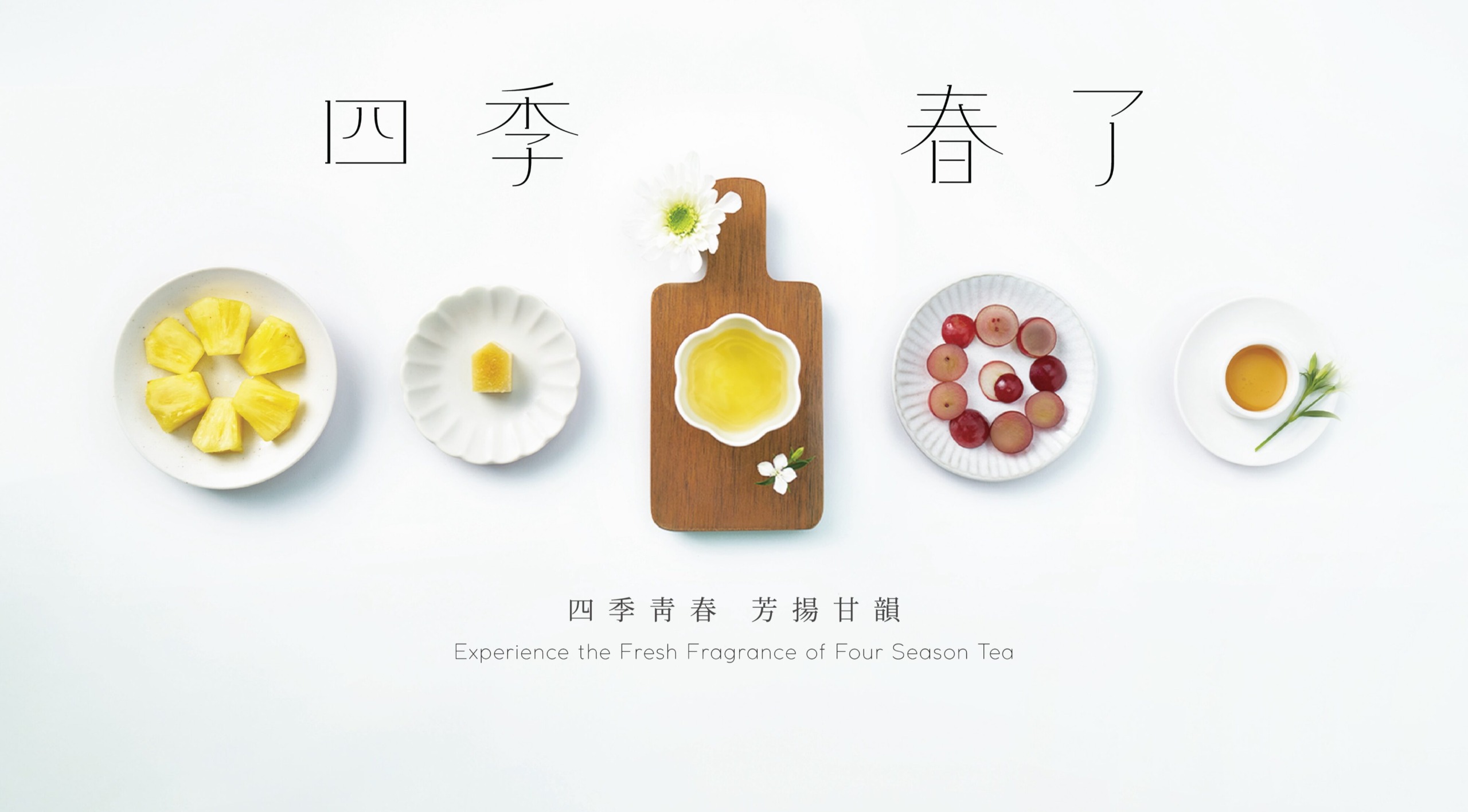 2024 春 | 四季春了
